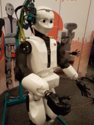 Reem C Robot from Pal